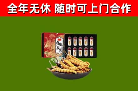 称多县回收冬虫夏草价格